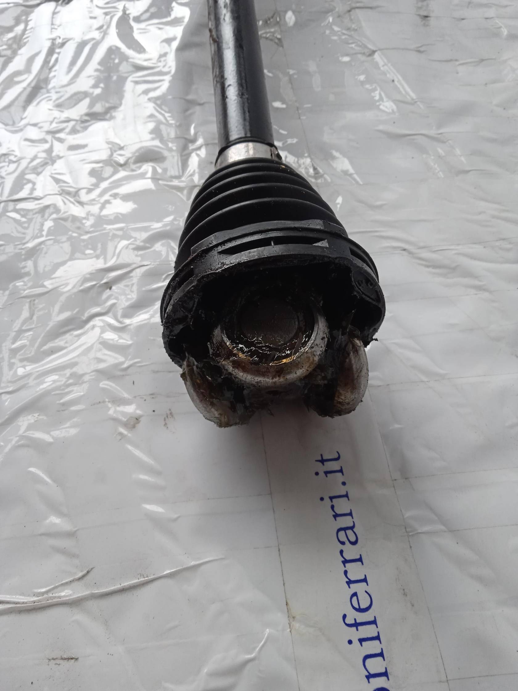 Semialbero ant. compl. dx.